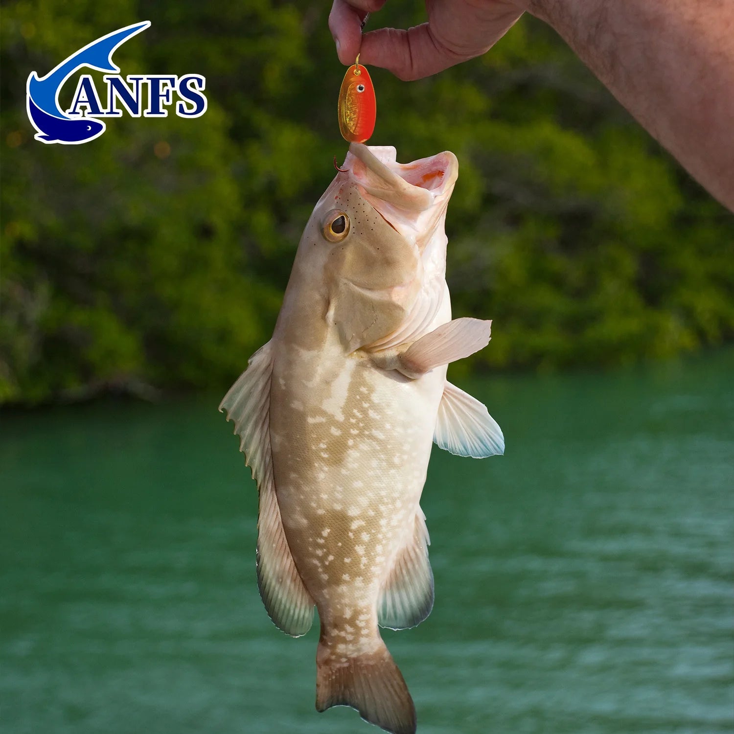 ANFS 5 señuelos de pesca de cobre – cucharas giratorias surtidas de colores con caja de señuelos, regalo ideal para pescadores